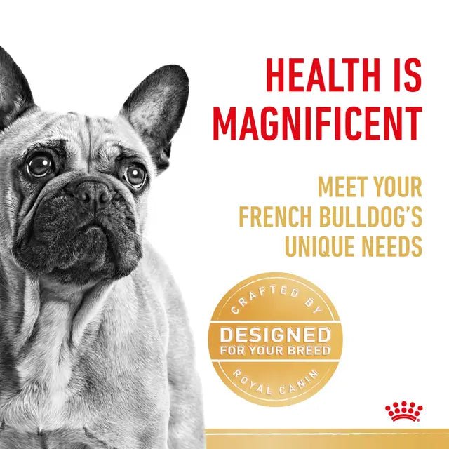Royal Canin French Bulldog Adult Dry Dog Food - Pet Supply